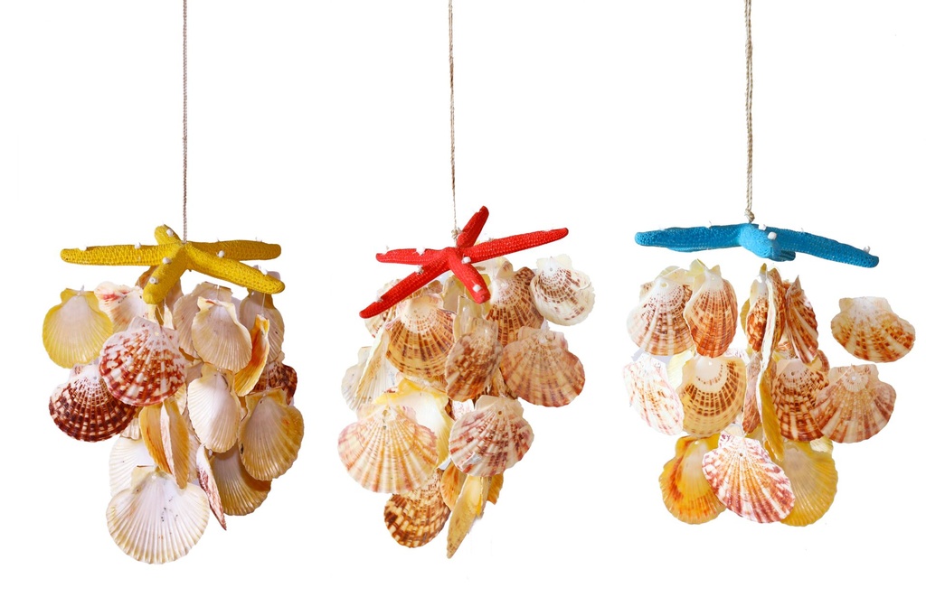 SCACC STELLA BIANCA P.FINE C/10 FIEL CONCH ASS H CM 28