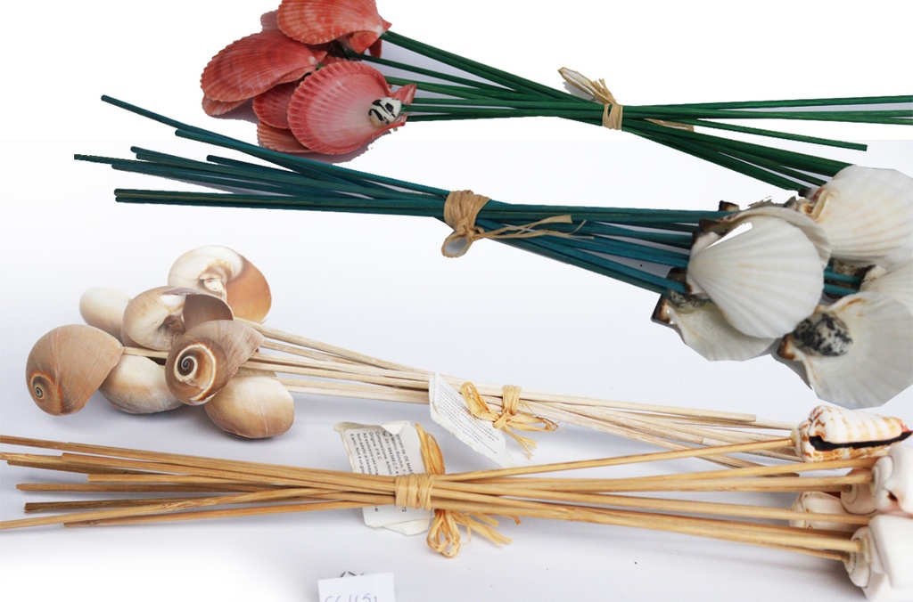 DECORAZIONI BASTONCINI C/CONCH MARINE ASS CM 25 6 MOD ASSTI