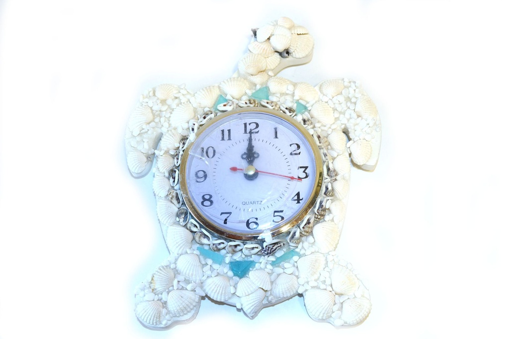 OROLOGIO CONCHIGLIE TARTARUGA CM 21*17 