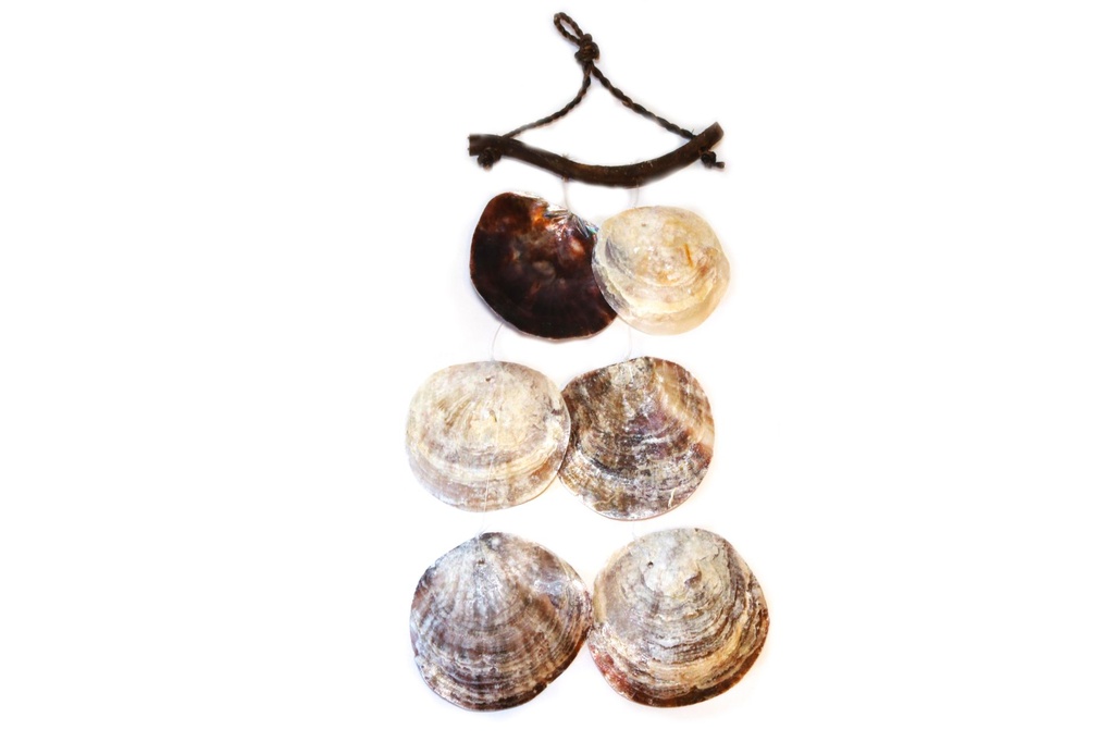 SCACCIAP LEGNETTO C/2 FILE E 6PZ PLACUNA 