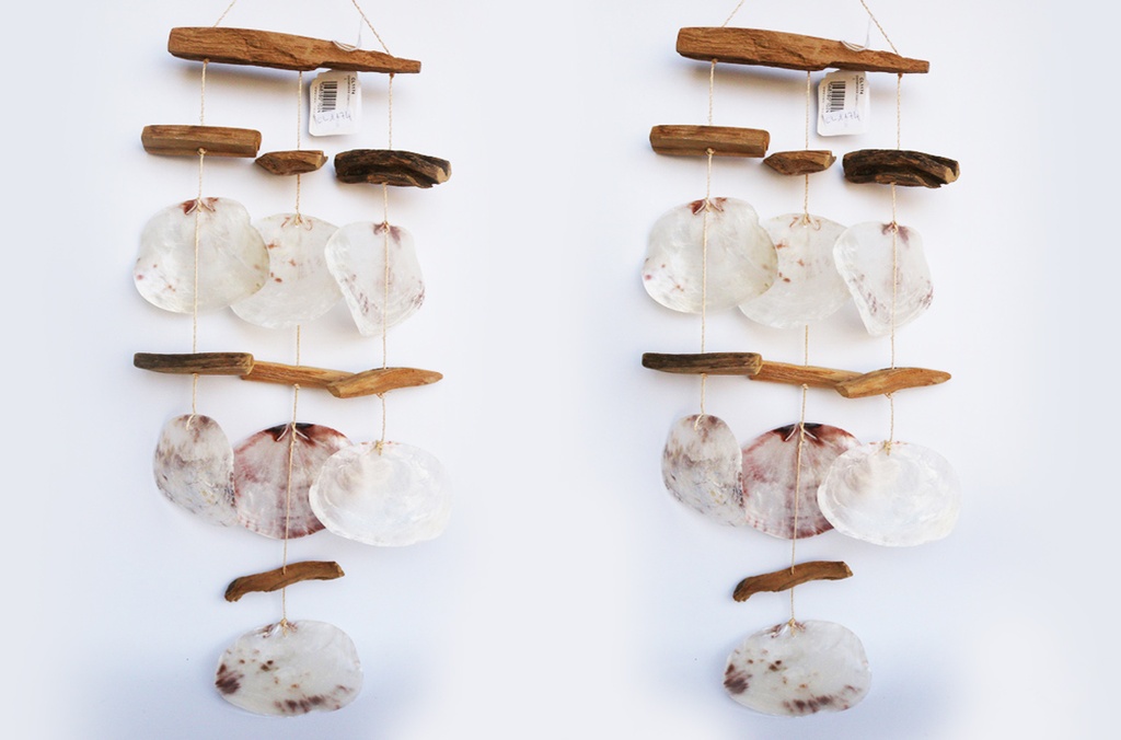 SCACCIAPENSIERI LEGNETTI E PLACUNA 