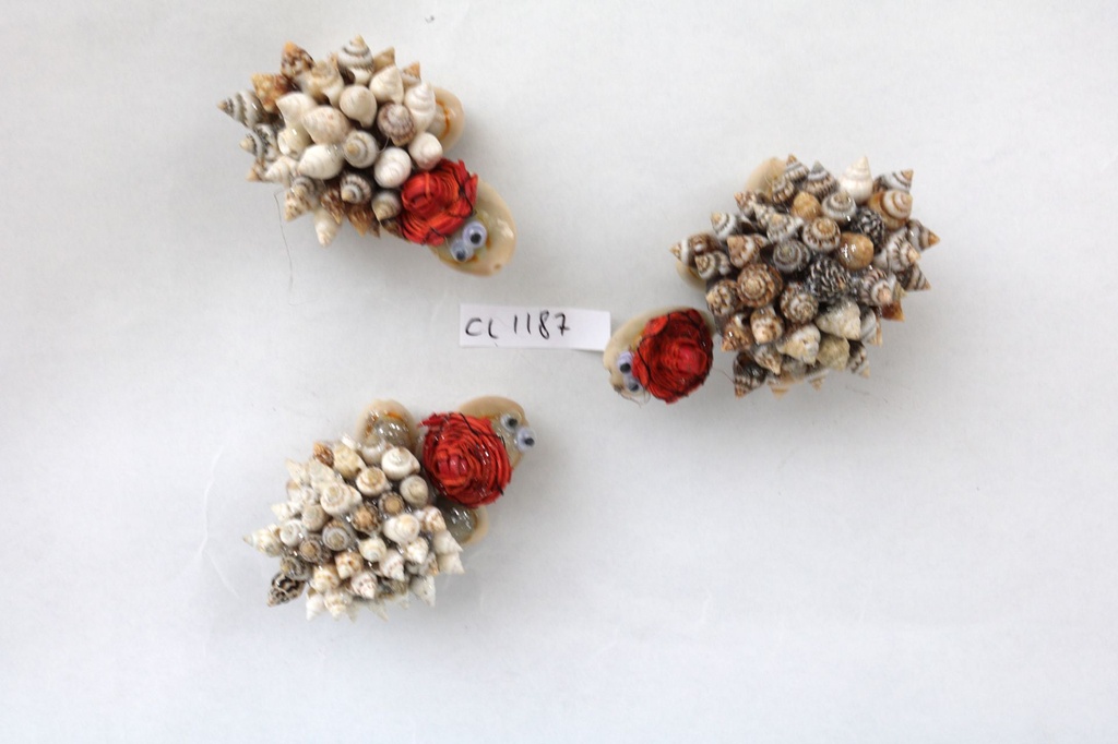 TARTARUGA CONCH A RICCIO C/CYPREA MONETA E MAGNETE 