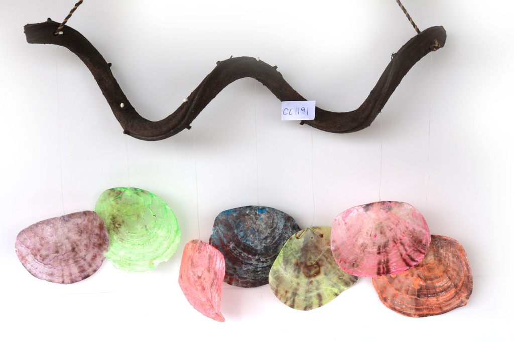 SCACCIPENSIERI RAMO LEGNO C/7 PLACUNE COL ASS 