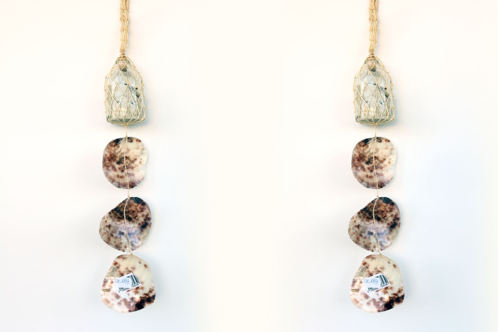 SCACCIAP. BOTT VETRO E 3 FILE PECTEN NOBILIS 