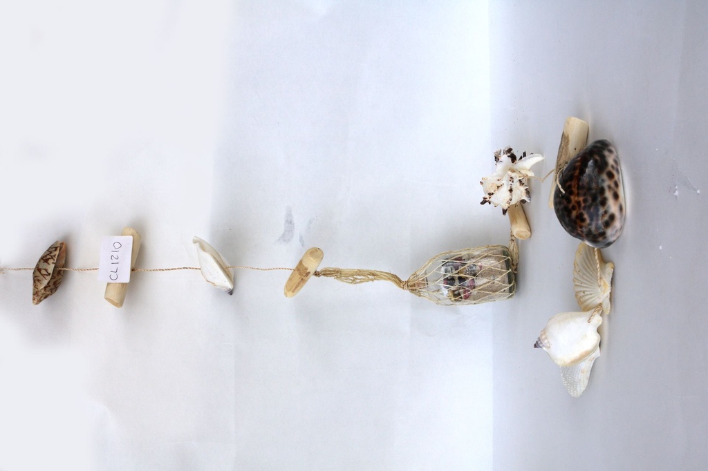 CORDA DA APP CON CONCH - LEGNI E BOTT VETRO C/RETE 