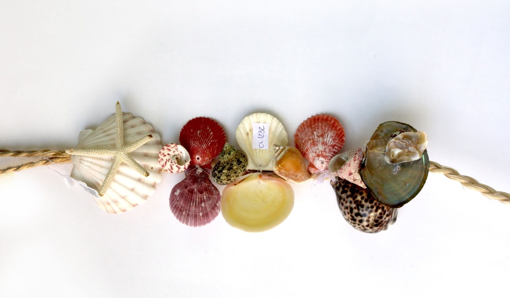 CORDA D'APP CON CAPPASANTA TIGRINO STELLA E CONCH 