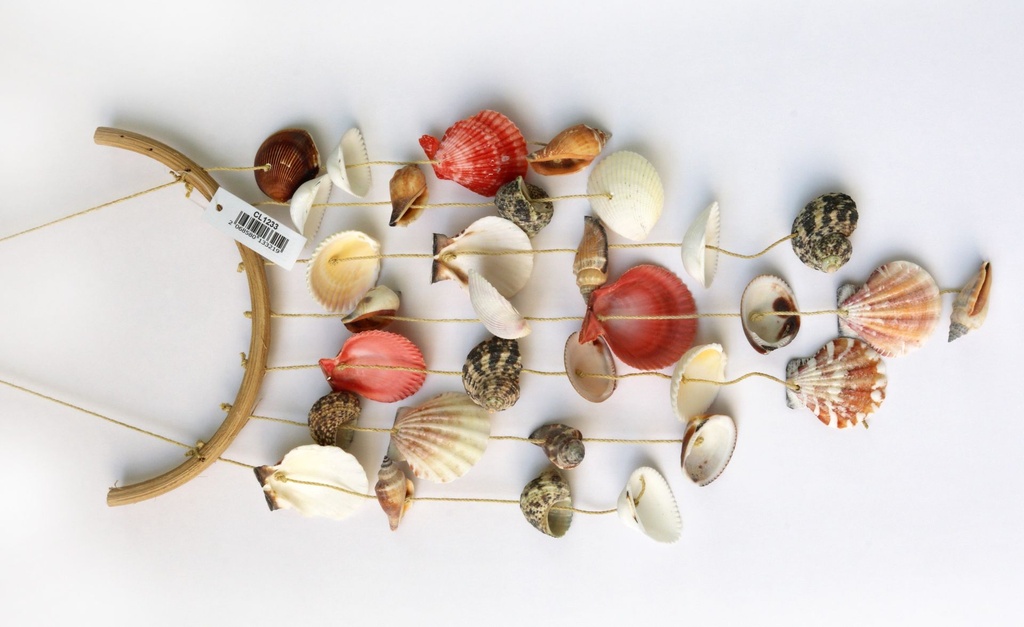 CORDA D'APP STELLA MARINA E CONCH ASS 