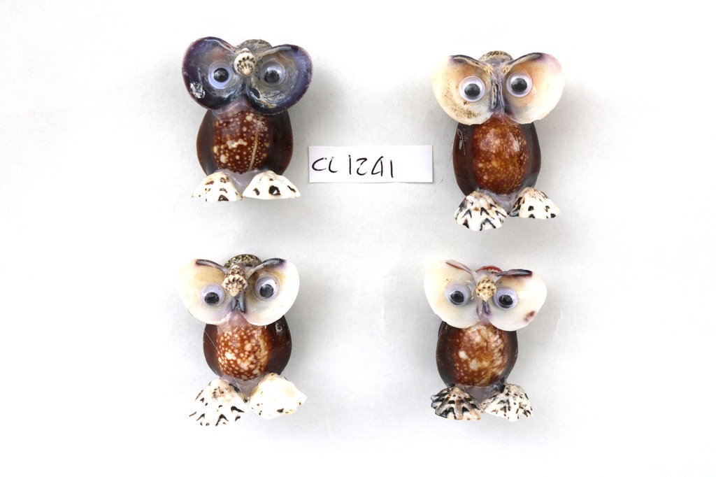 CIVETTA CAPUT SERPENTIS C/CALAMITA 