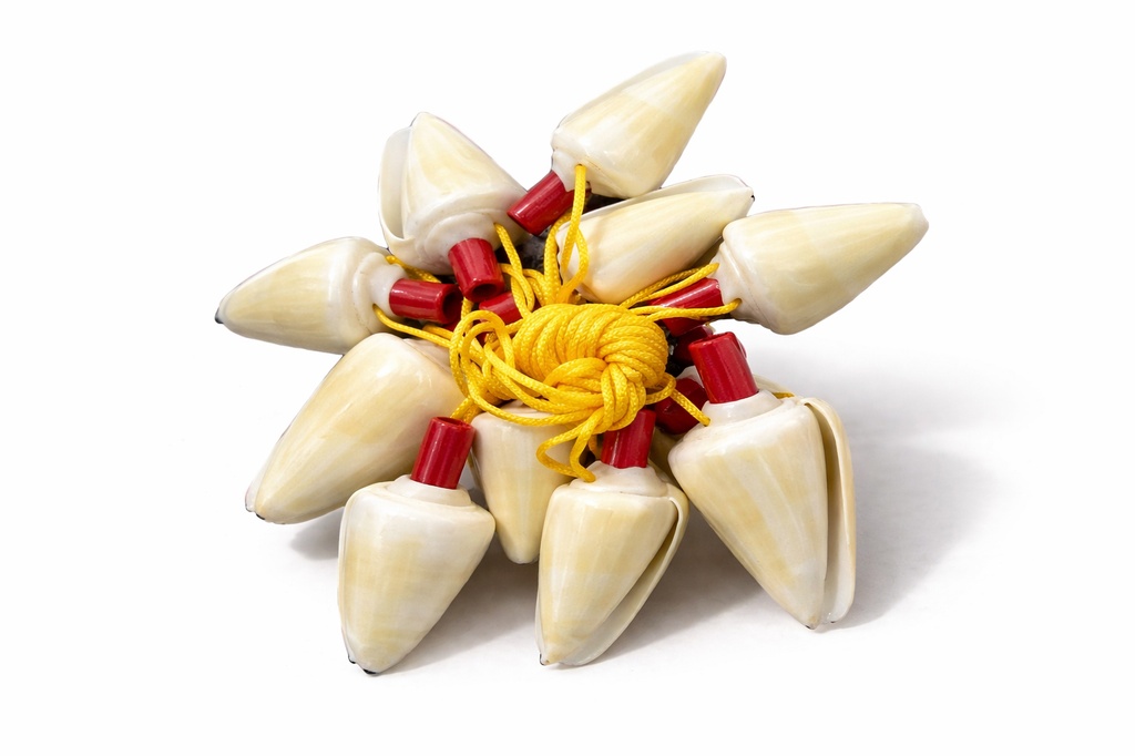 TROMBETTE CONUS 