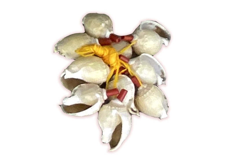 TROMBETTE TONNA GALEA 