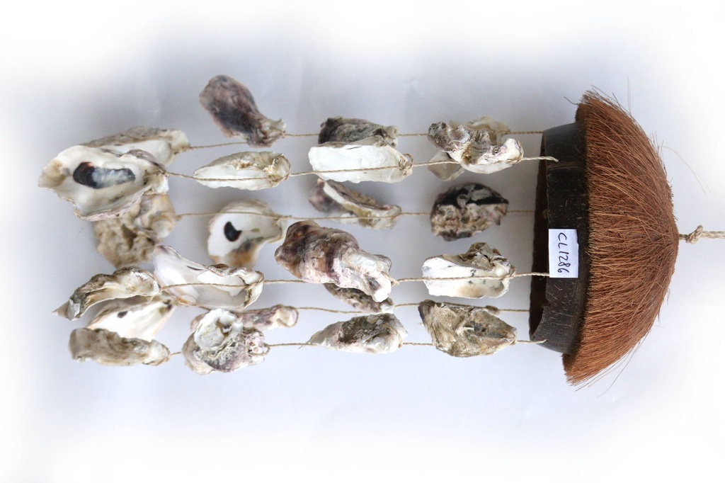 SCACCIAP. COCCO C/PELO E OSTRICHE CM 40*16 