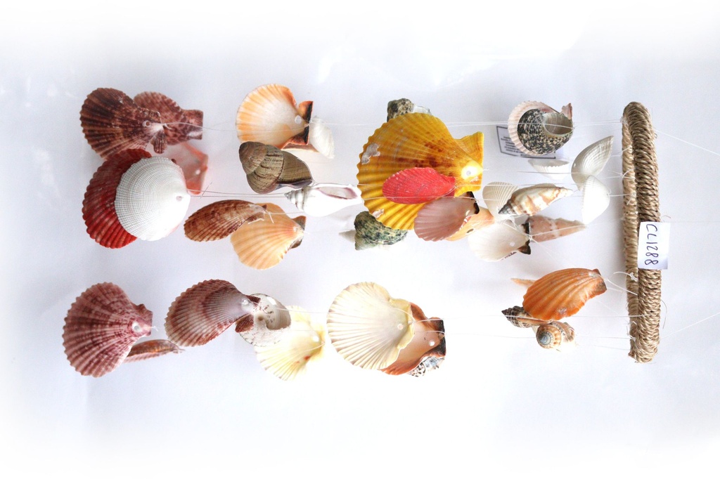 SCACCIAP. LEGNO, RATTAN E CONCH ASS CM 34*15 