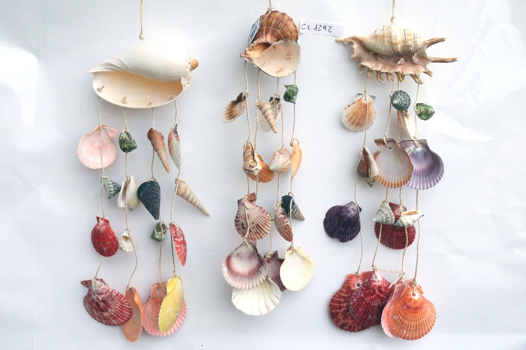 SCACCIAP. CONCH 6 MOD ASS CM 40 