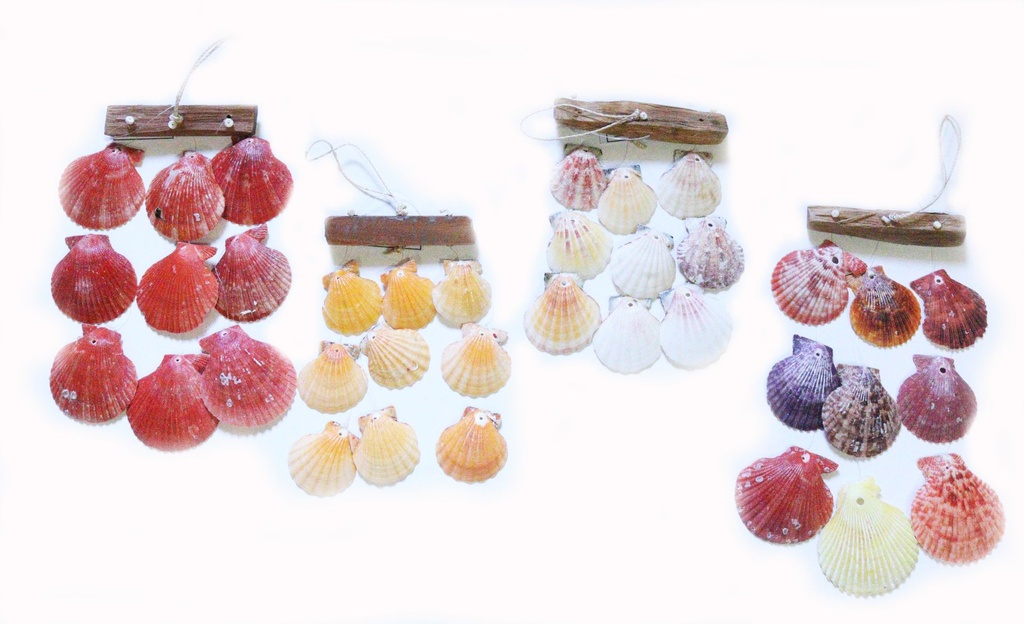 SCACCIAP. LEGNETTO CON CONCH CM 30 - 4 MOD ASS 