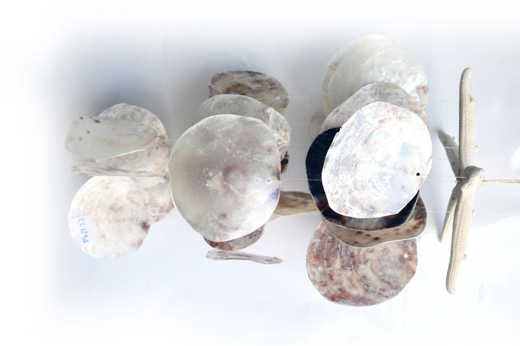 SCACCIAP. STELLA CON PLACUNA CM  40 