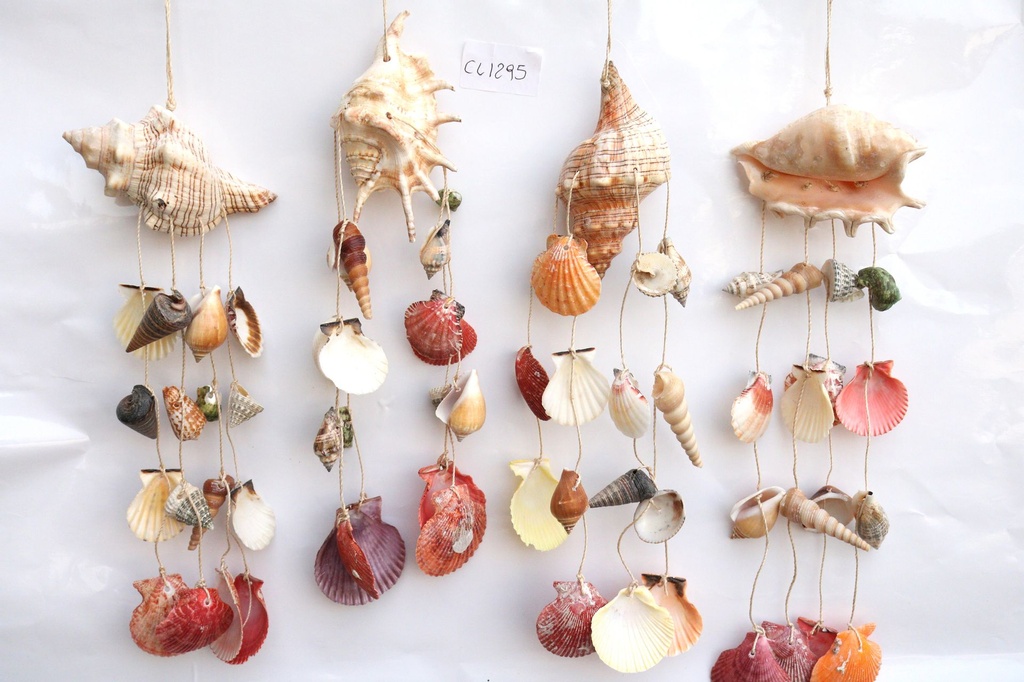 SCACCIAP. CONCH 4 MOD ASS CM 40 