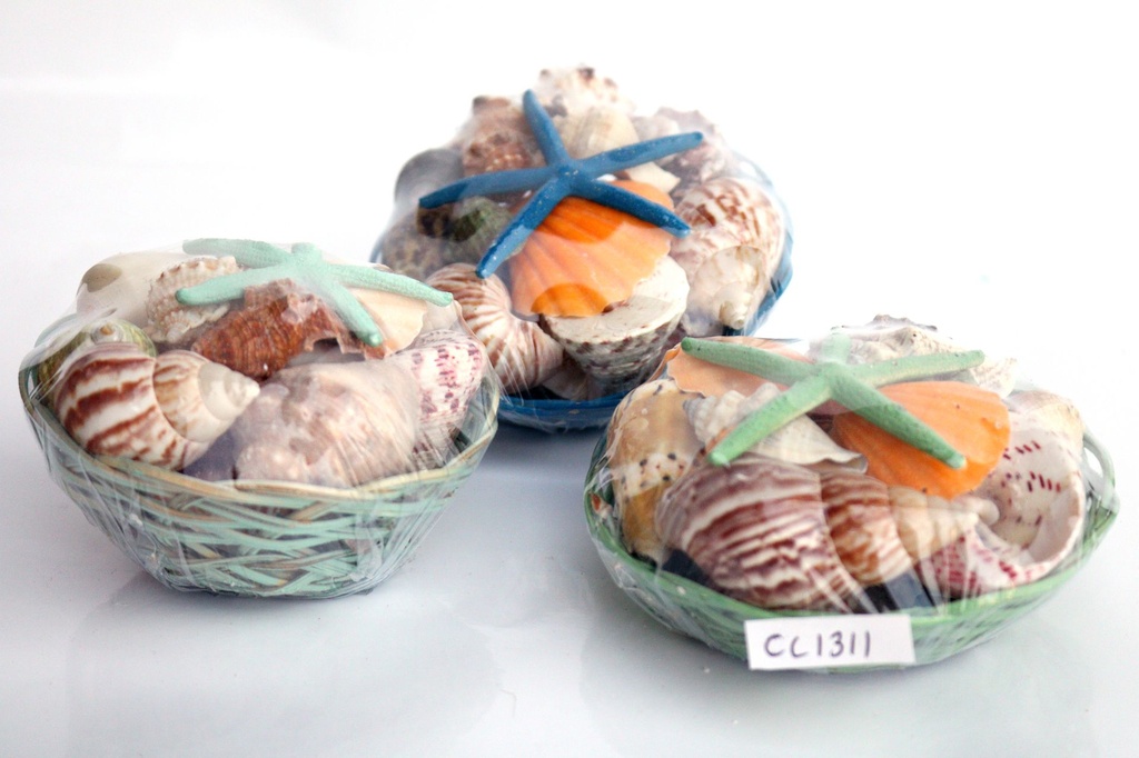 CESTINO CONH COL 4" C/STELLA PUNTE FINE COL ASS 