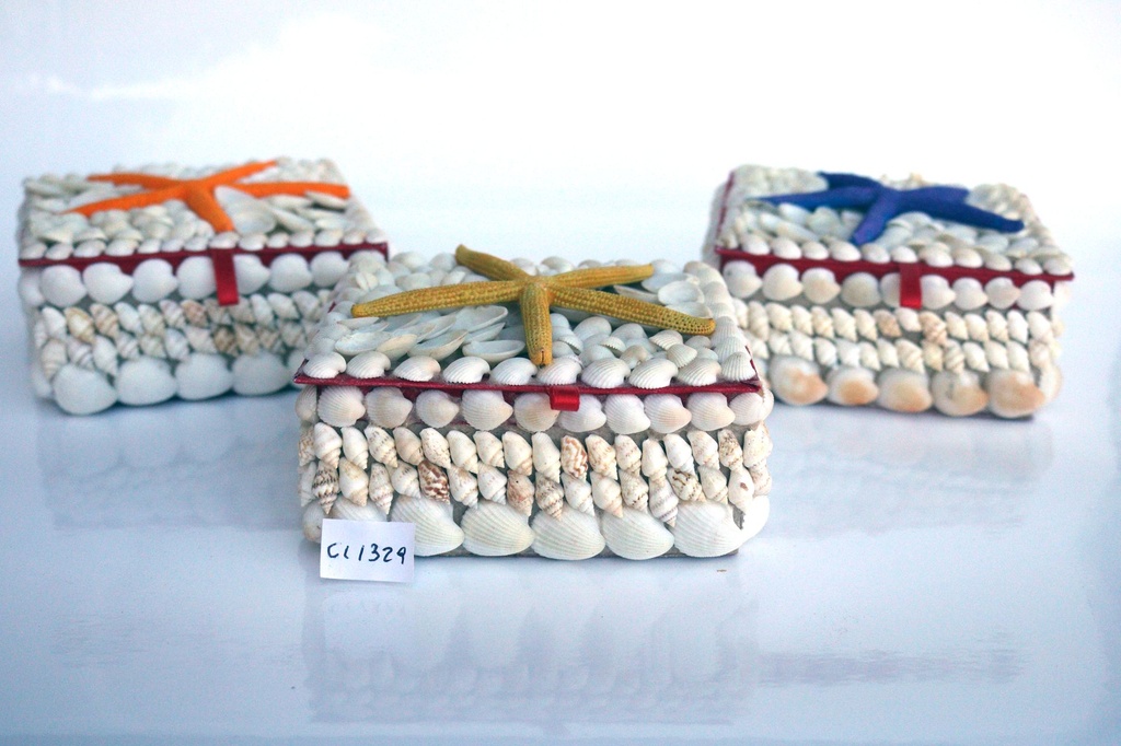 SCATOLE CONCHIGLIA RETT 12*13.5 CM C/STELLA 6 COL 