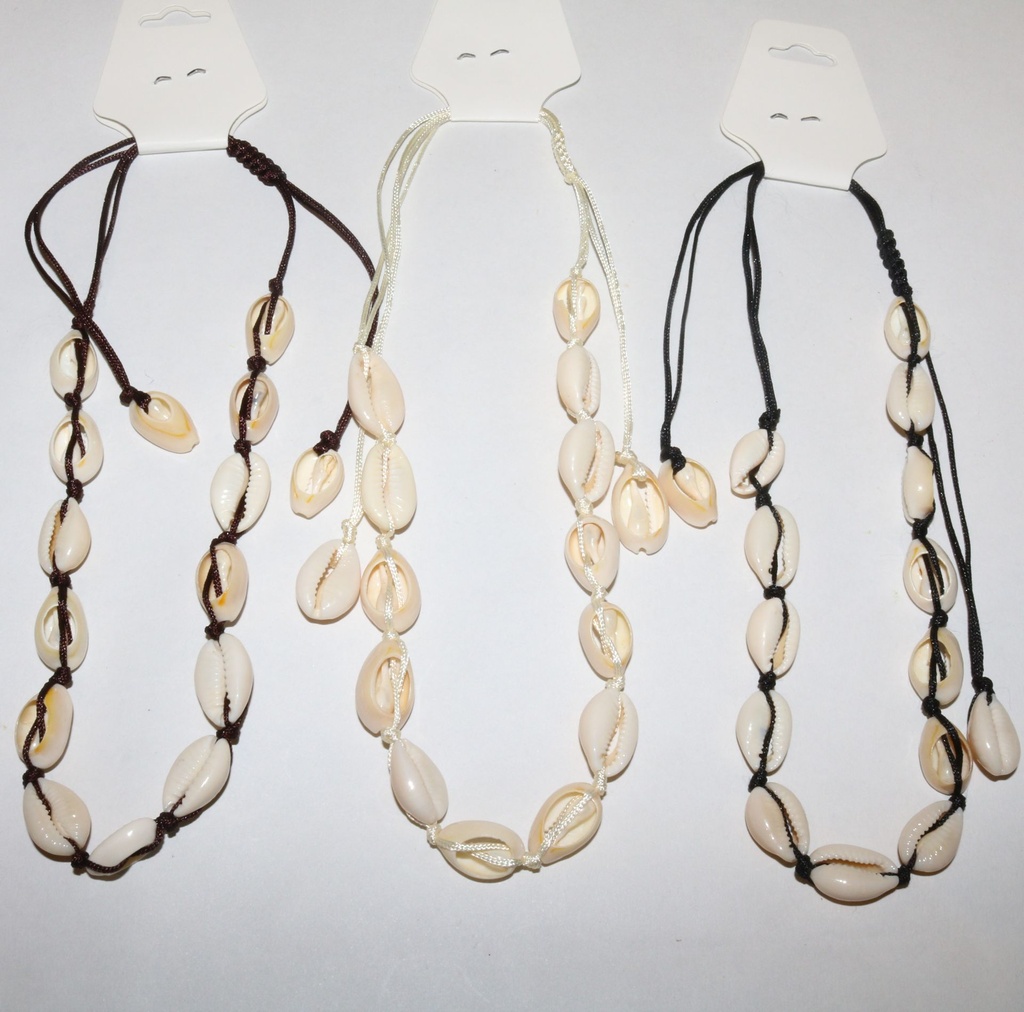 COLLANE  CONCHIGLIA 