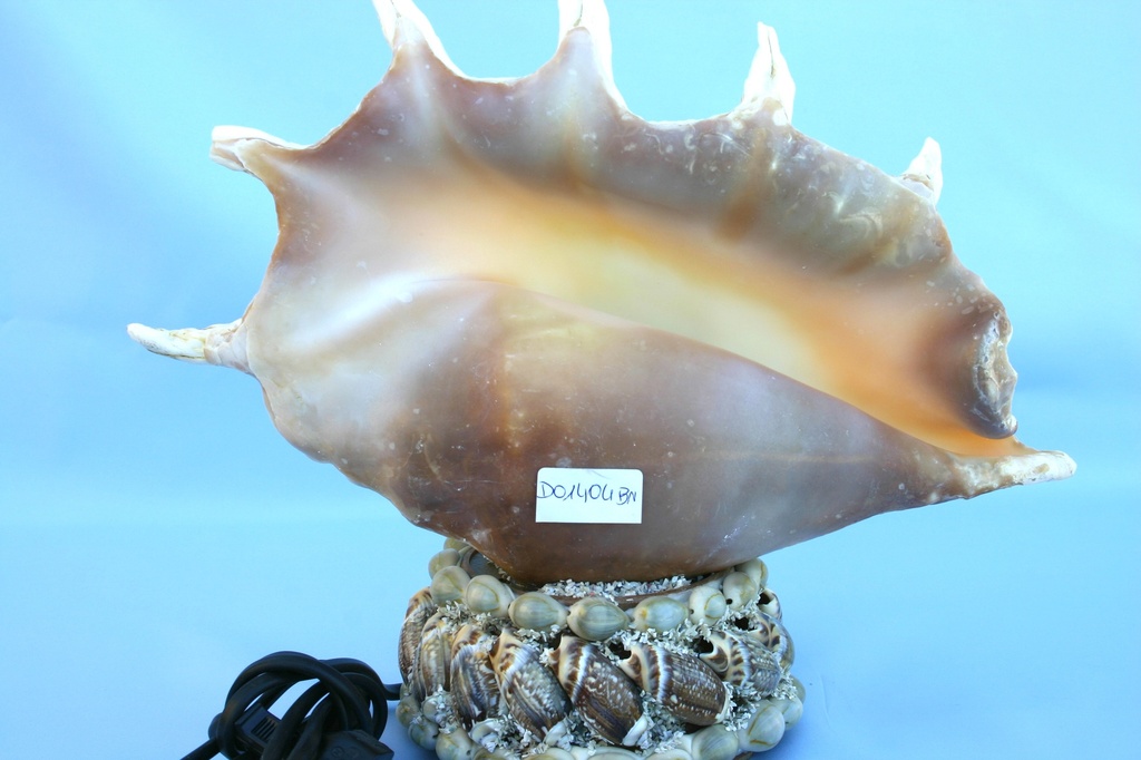 LAMBIS TRUNCATA LUCE BASE CEE CM 26*29 