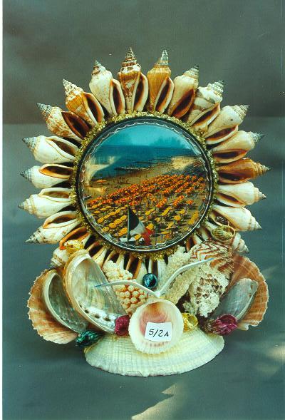 VEDUTA STROMBUS URCEUS SU B/CONCHIGLIA CM 22*20 