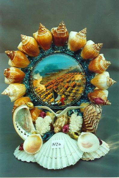 VEDUTA STROMBUS CANARIUM SU B/CONCHIGLIA CM 22*20 