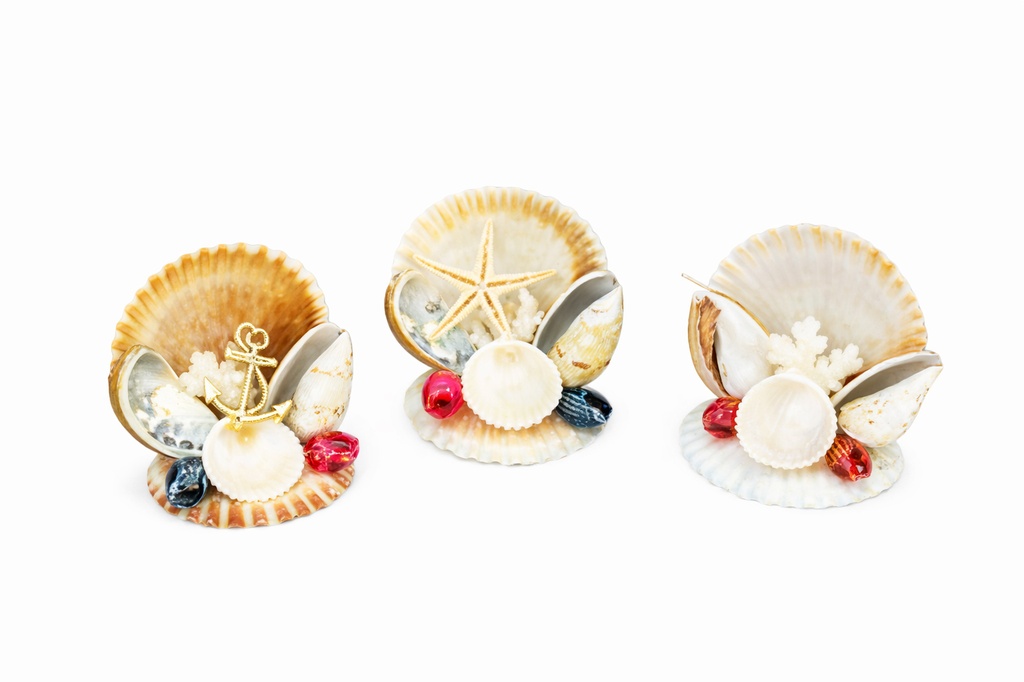 CANESTRELLI MIGNON STELLA CM 8*8 