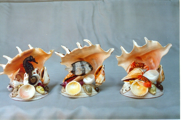 LAMBIS A NIDO PESCE NATURALE H. 11 