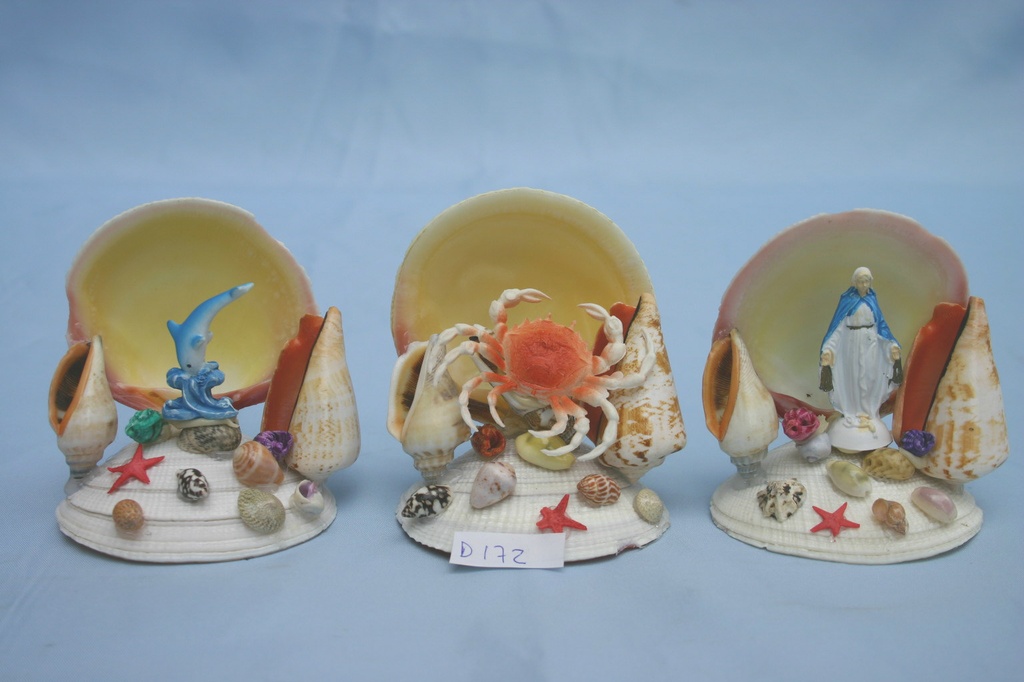 DELFINO CODACKIA CM 9 