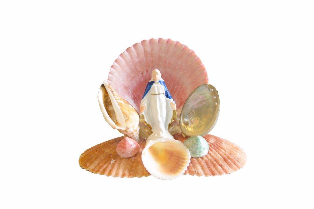 MISTI PECTEN C/BASE 2 PECTEN CM 8*12 