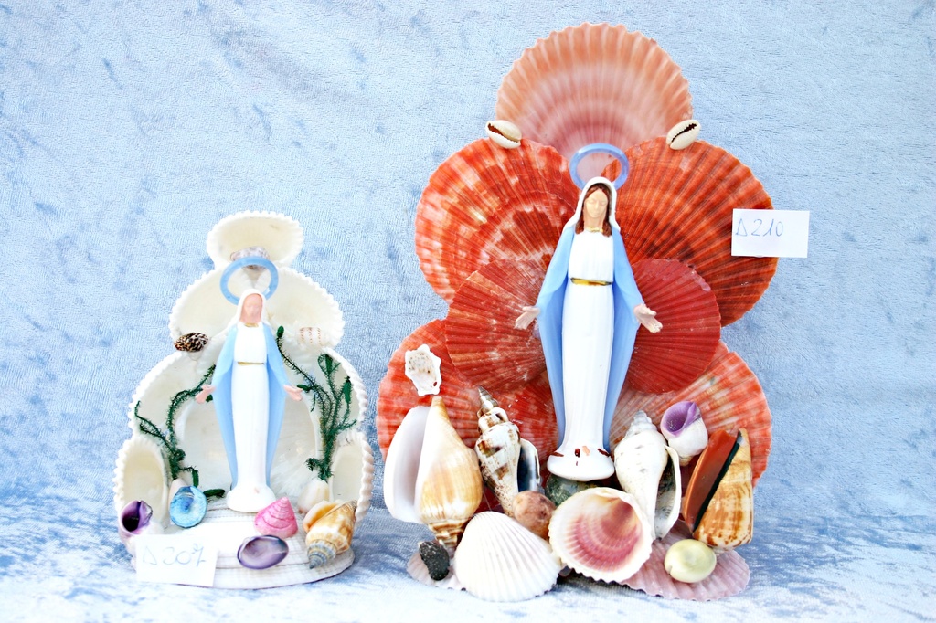 MISTI NIDO WHITE LITUB BASE CODACKIA CM 12 