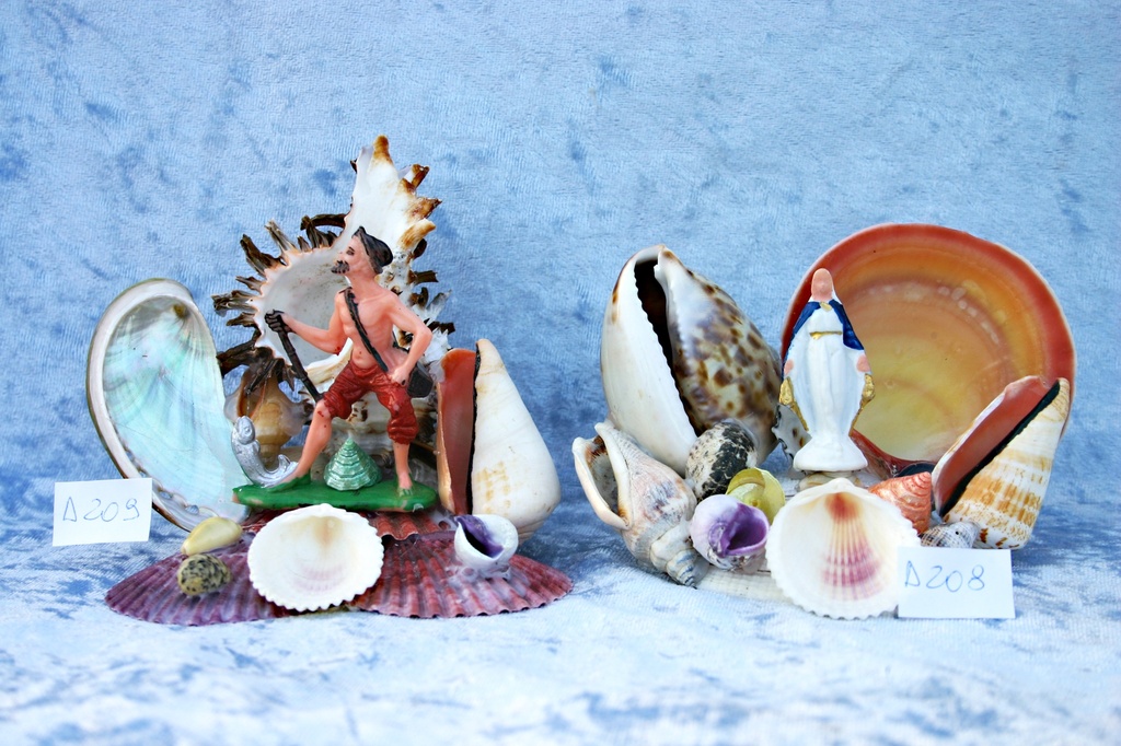 MISTI MUREX ENDIVIA BASE PECTEN CM 12*13 