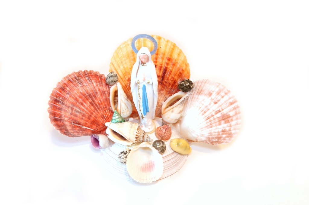 MISTI PECTEN BASE CODACKIA CM 10*18 