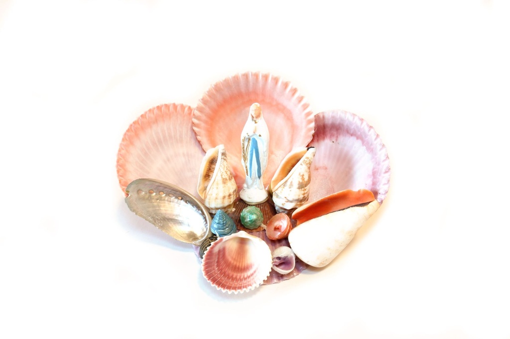 MISTI PECTEN BASE PECTEN CM 9*18 