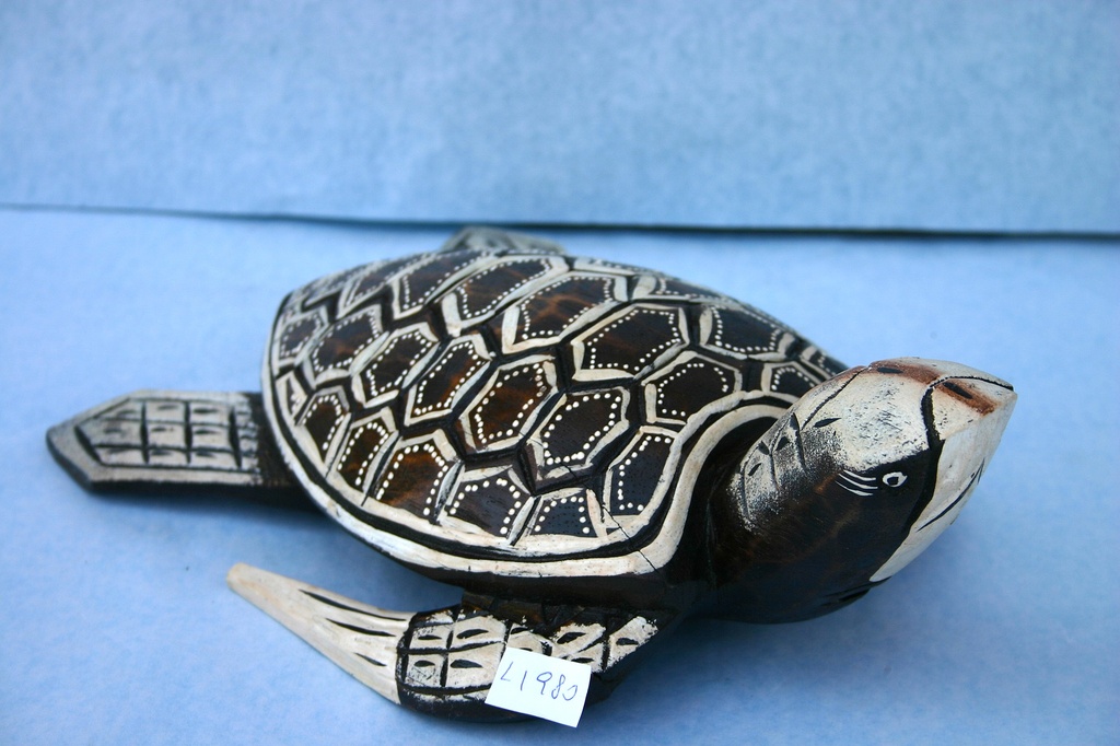 TARTARUGA LEGNO CM 20 2 COL ASS 