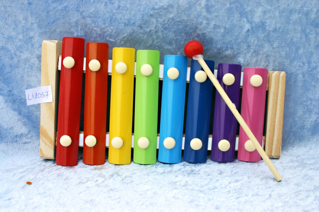 XILOFONO LEGNO MULTICOLOR 