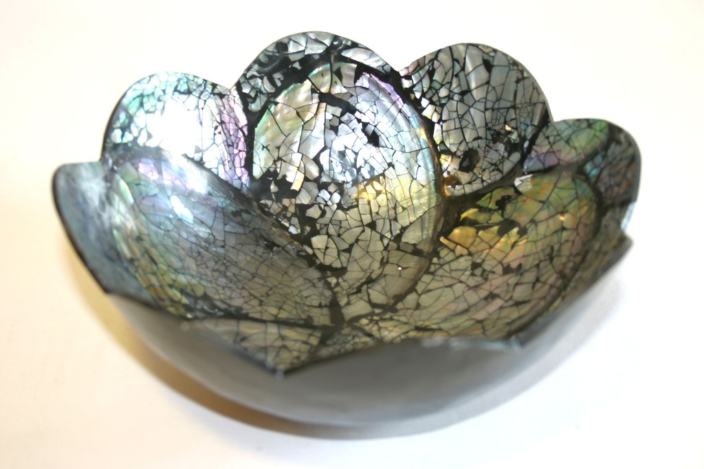 CIOTOLINA CONCH LAM. PAUA SHELL DIAM CM 15.5*6 