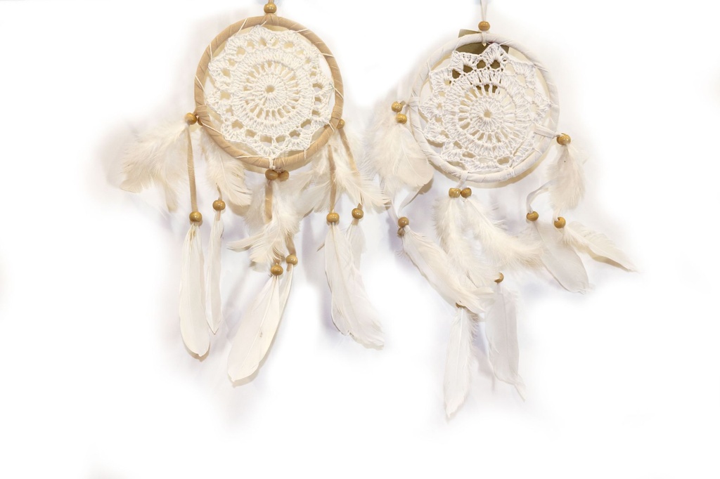 ACCHIAPPASOGNI UNCINETTO CM 12 2 COL ASS 