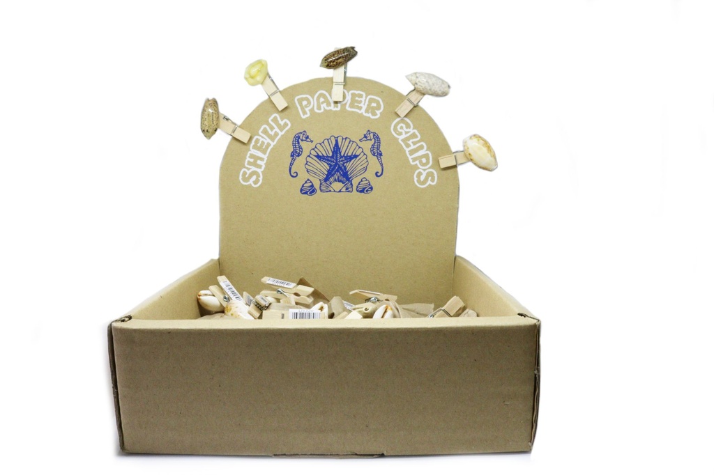 MOLLETTINE LEGNO C/CONCH IN DISPL BOX DA 36 PCS 