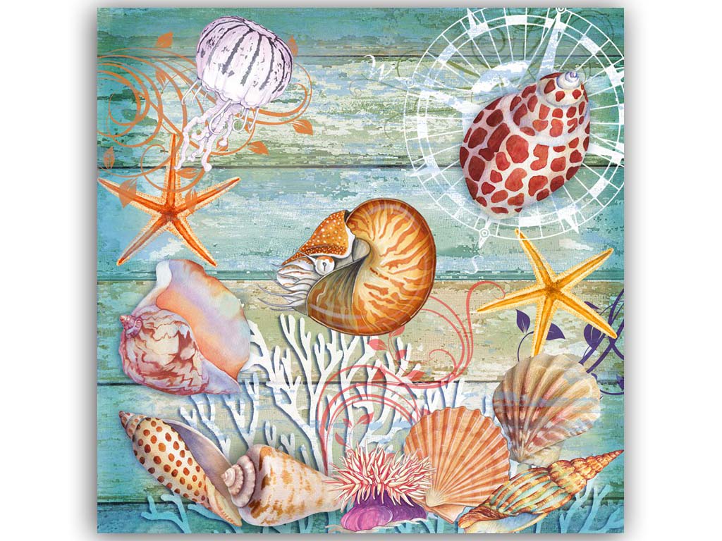 QUADRO SU TELA CONCHIGLIE 25*25 CM 