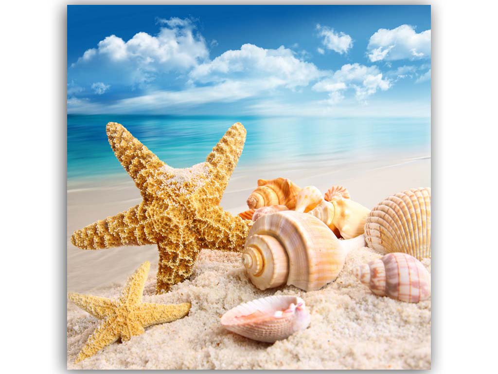 QUADRO SU TELA STELLE 25*25 CM 