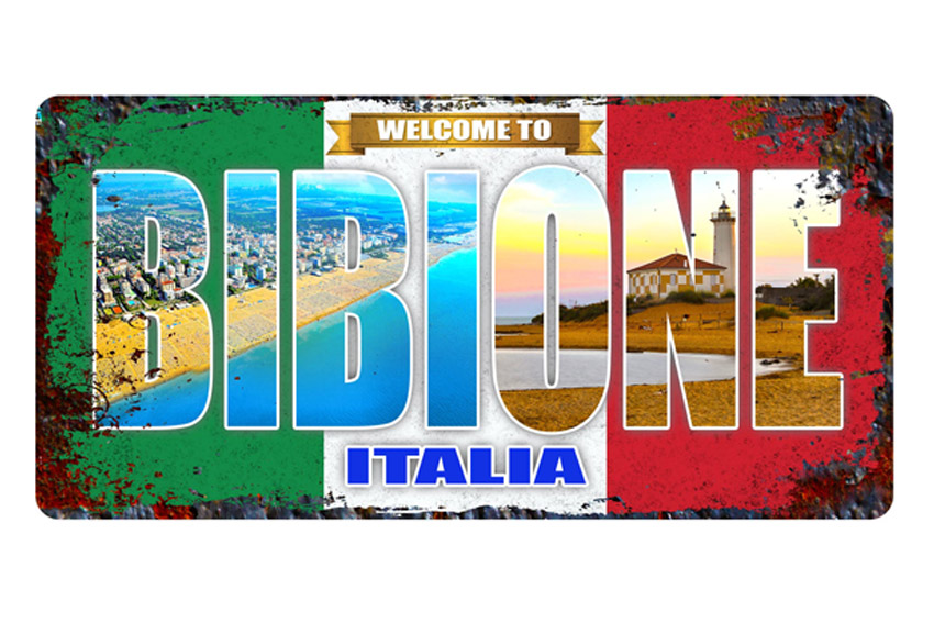 TARGA METALLO 30*15 BIBIONE 