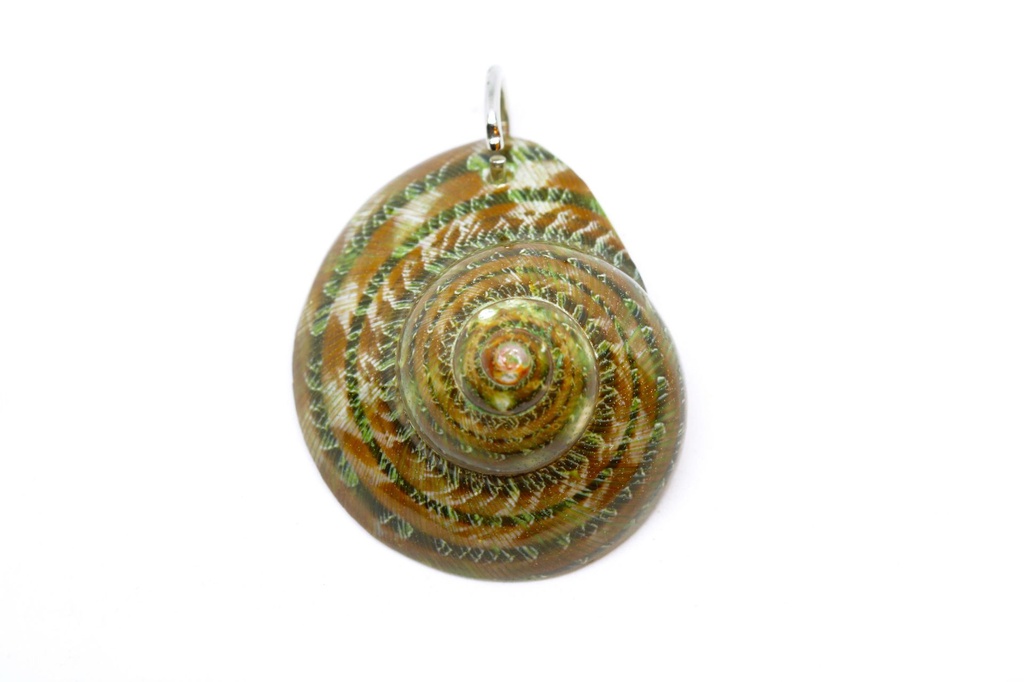 PENDENTI   CONCHIGLIA 