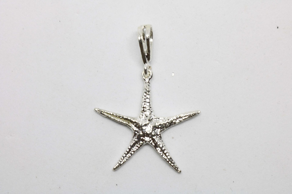 PENDENTI STELLE MARINE 