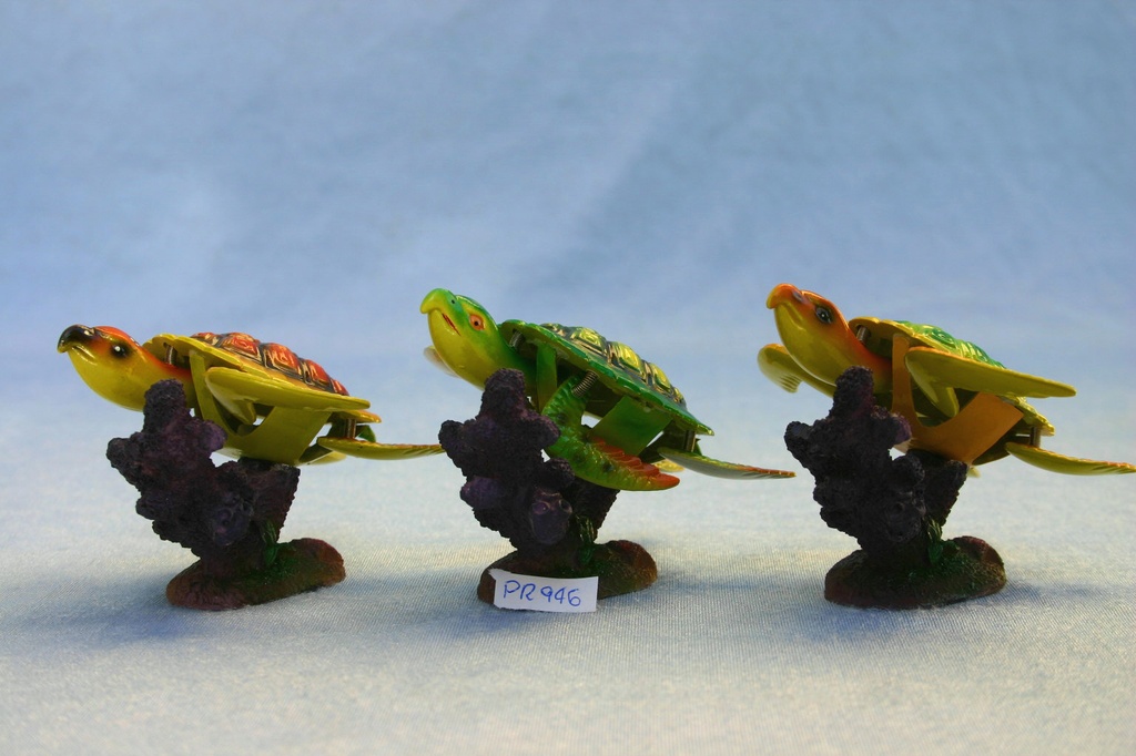 TARTARUGA SIMIL-RESINA SU CORALLO 