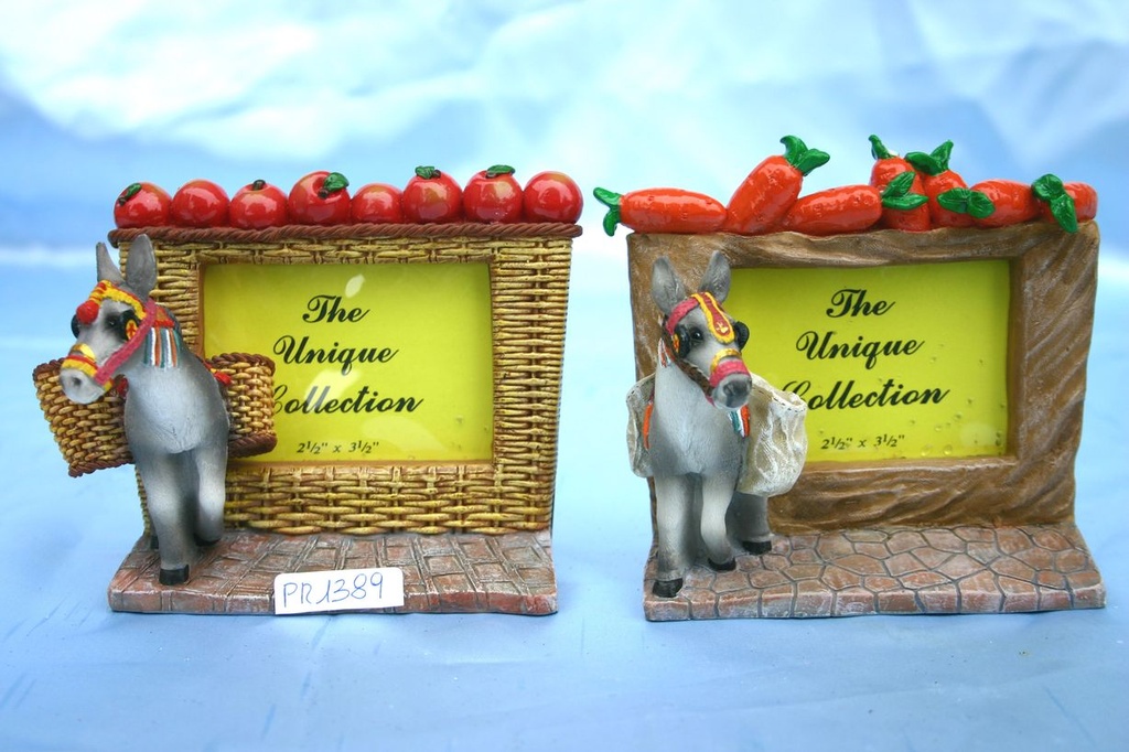 PORTAFOTO ASINO RESINA 