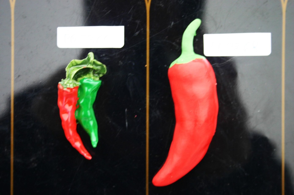 MAGNETE RESINA DOPPIO PEPERONCINO 