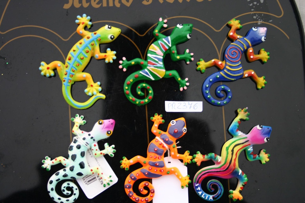 MAGNETE RESINA GEKO 6 COL.ASS. 