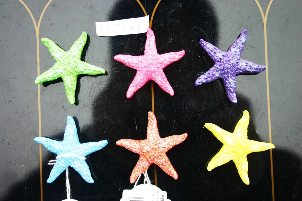 MAGNETE RESINA STELLA 