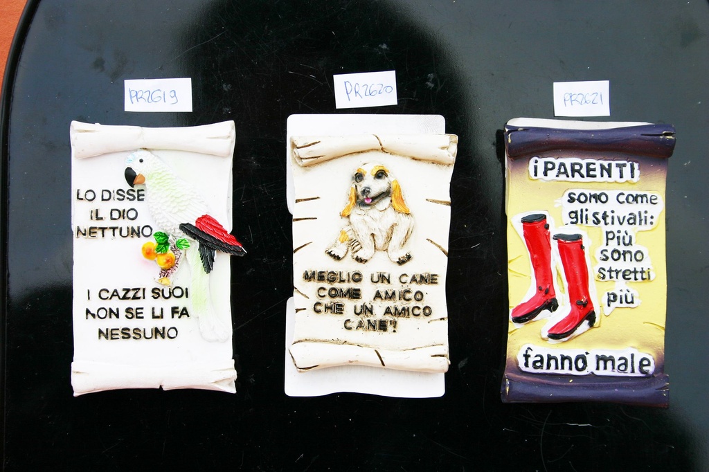 MAGNETE RESINA PAPPAGALLO 